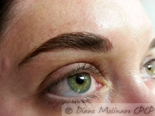 Hair stroke brows Immediately After